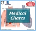 Find Variety of Health Charts & Model Manufacturer in India